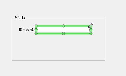 調整BarTender中的數據輸入表單中的對象大小